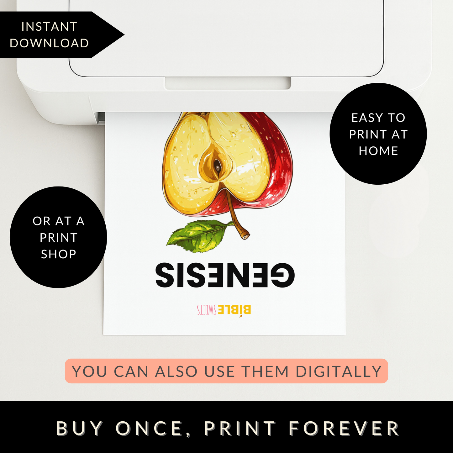 Genesis Bible Study Activity Book (Digital Download)