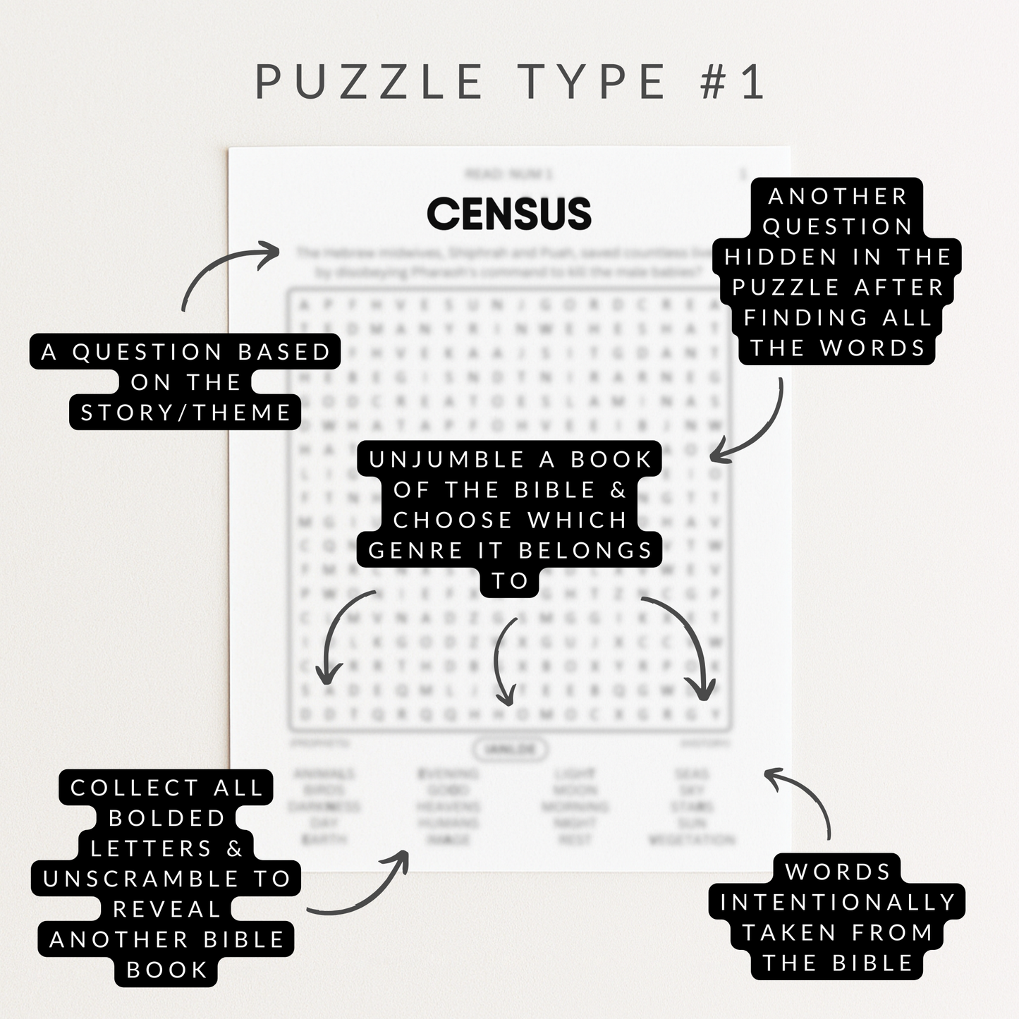 Numbers Bible Study Activity Book (Digital Download)