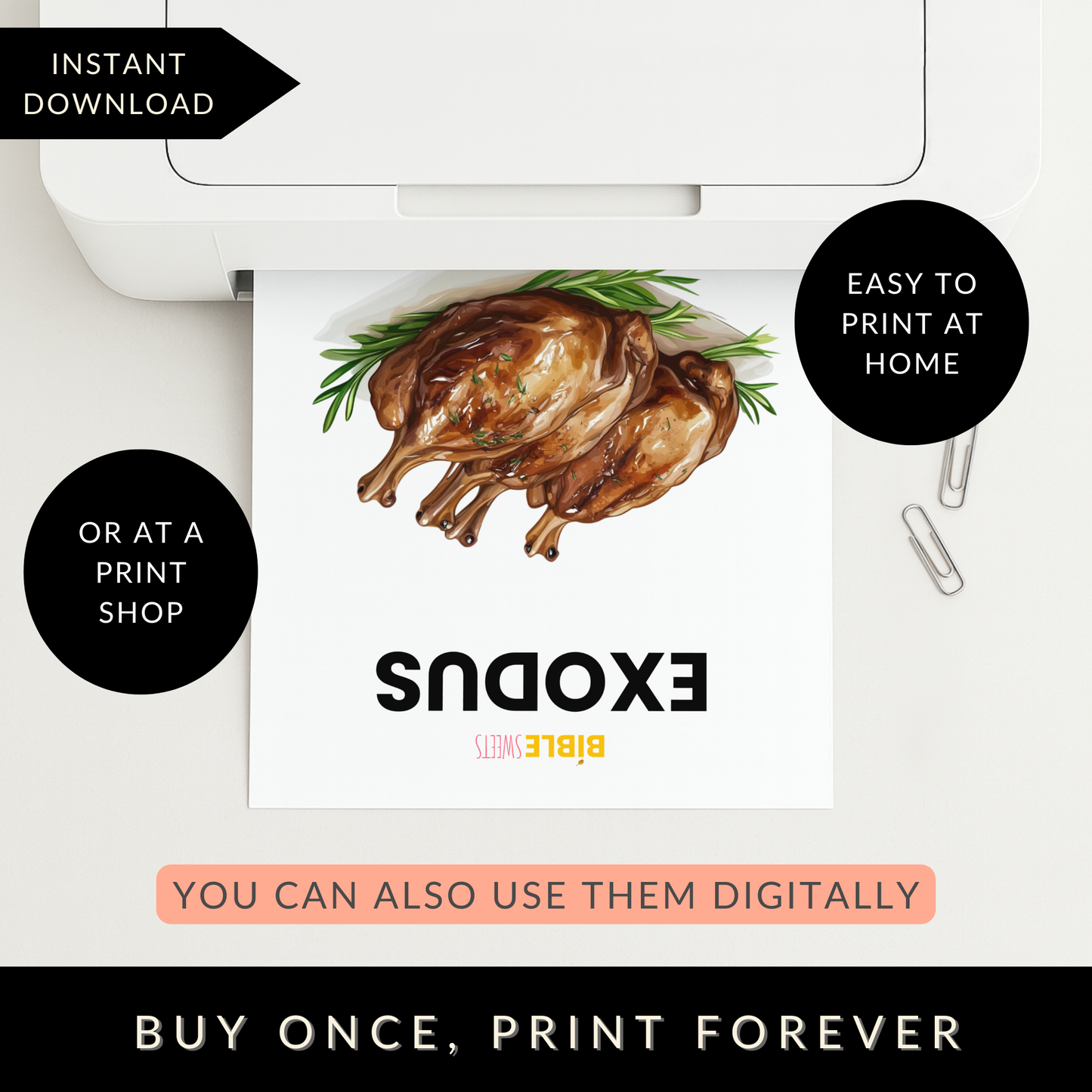 Exodus Bible Study Activity Book (Digital Download)