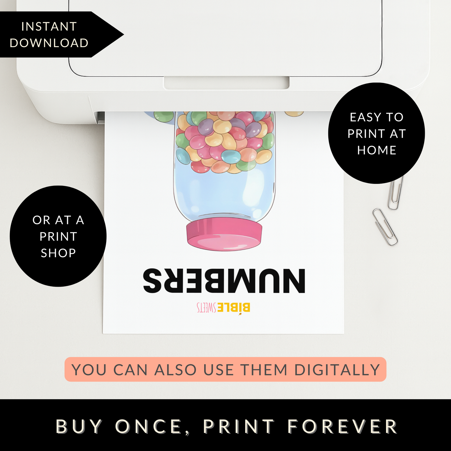 Numbers Bible Study Activity Book (Digital Download)